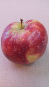 fior arancio 5