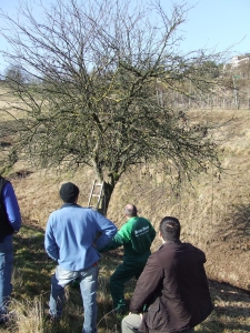 foto Rosato 2011 002